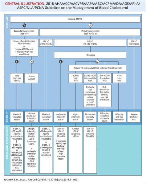 Guidelines on the .